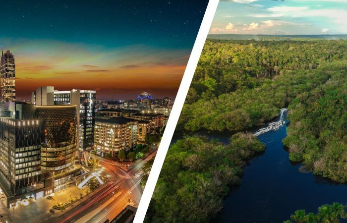 Photo of a city at dusk beside an aerial photo of a section of the Amazon rainforest