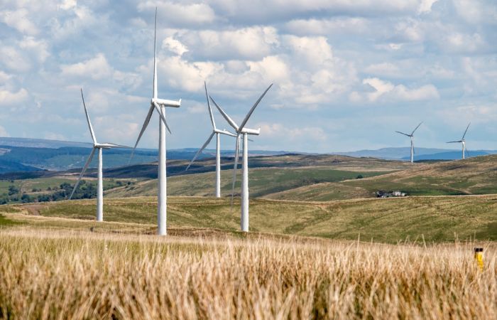 Field of wind turbines