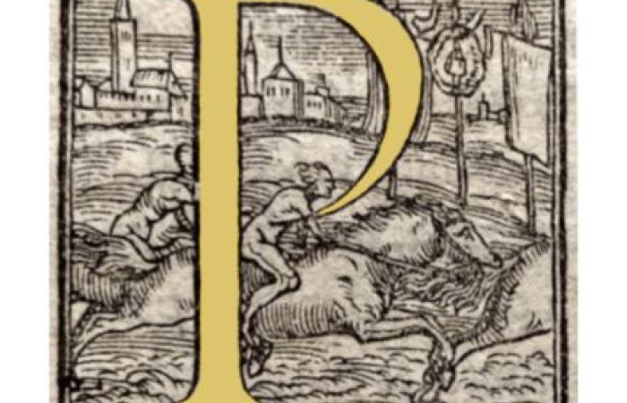 Plamena Panayotova Profile Picture