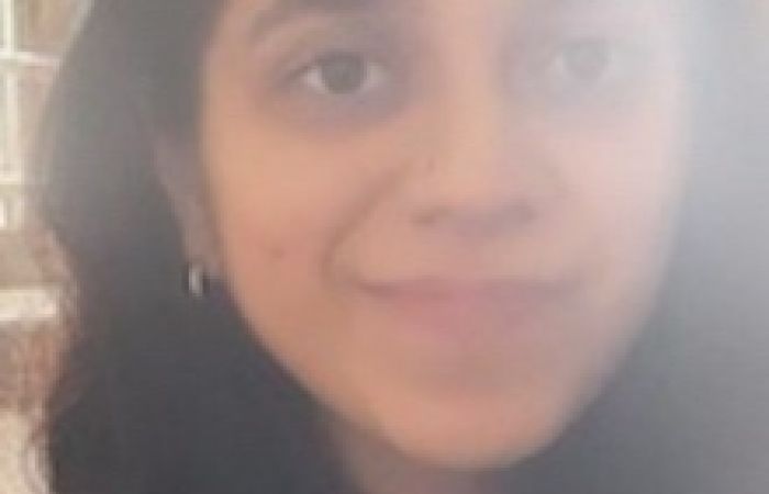 Picture in the sunlight